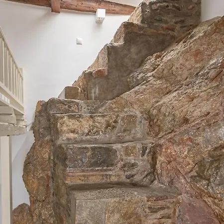 Sempreviva *